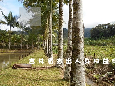 吉林省杰出人身权益律师热线 吉林省杰出人身权益律师热线