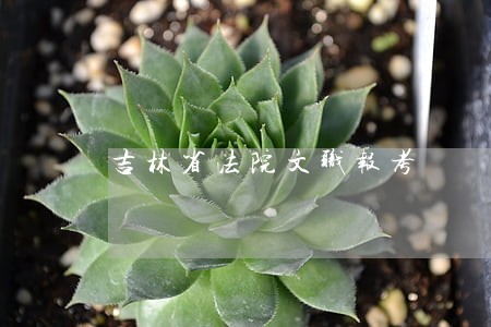 吉林省法院文职报考