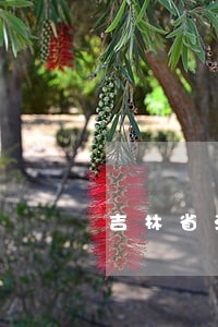 吉林省法院李雪田