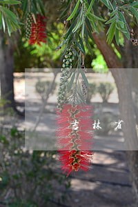 吉林省法院立案庭 吉林省法院立案庭