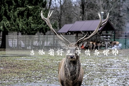 吉林省舒兰市债务律师 吉林省舒兰市债务律师