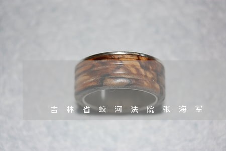 吉林省蛟河法院张海军