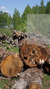 吉林知名法律顾问公司 吉林知名法律顾问公司