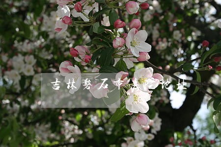 吉林磐石市法院地址 吉林磐石市法院地址