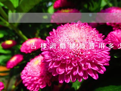 吉林离婚律师费用多少