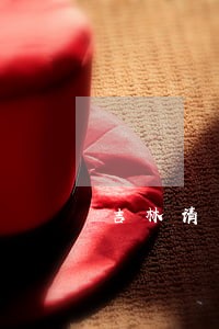 吉林请专业律师团 吉林请专业律师团