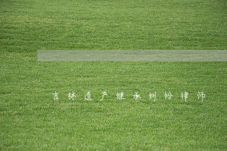 吉林遗产继承纠纷律师 吉林遗产继承纠纷律师