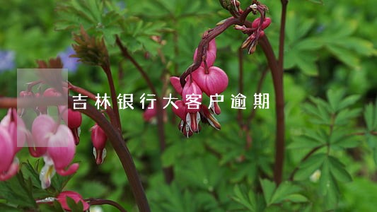 吉林银行大客户逾期 吉林银行大客户逾期