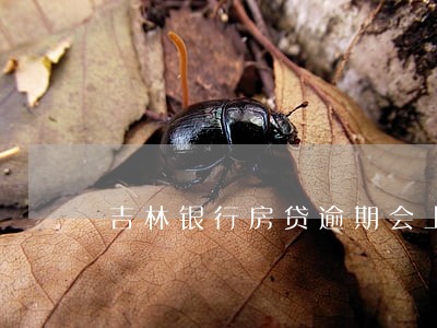 吉林银行房贷逾期会上征信吗 吉林银行房贷逾期会上征信吗