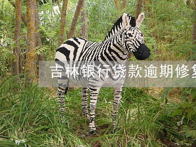 吉林银行贷款逾期修复 吉林银行贷款逾期修复