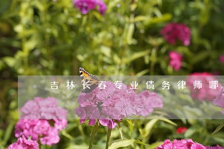 吉林长春专业债务律师哪个好 吉林长春专业债务律师哪个好