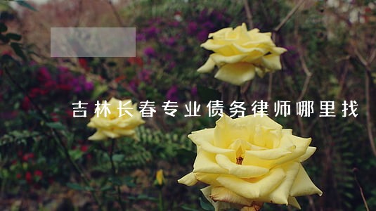 吉林长春专业债务律师哪里找 吉林长春专业债务律师哪里找
