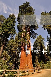 吉林长春专办医患纠纷律师 吉林长春专办医患纠纷律师