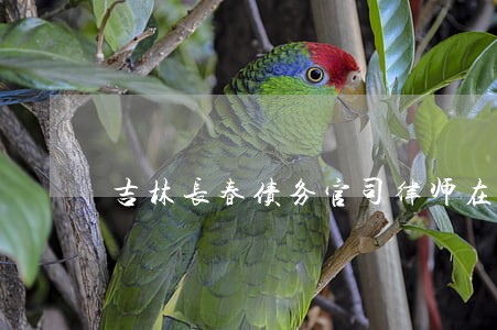 吉林长春债务官司律师在线咨询 吉林长春债务官司律师在线咨询