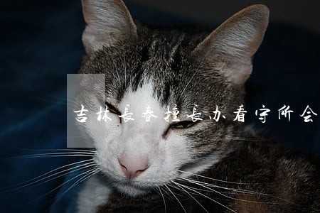 吉林长春擅长办看守所会见律师 吉林长春擅长办看守所会见律师