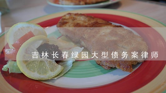 吉林长春绿园大型债务案律师 吉林长春绿园大型债务案律师