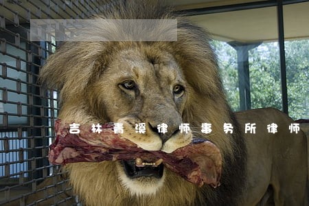 吉林青溪律师事务所律师 吉林青溪律师事务所律师