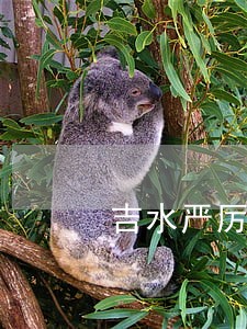 吉水严厉打击发票违法活动 吉水严厉打击发票违法活动