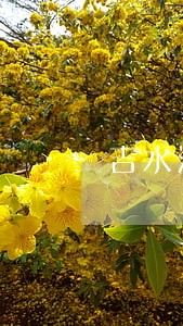 吉水法院发布保时捷卡宴拍卖公告 吉水法院发布保时捷卡宴拍卖公告