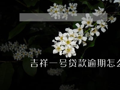 吉祥一号贷款逾期怎么样 吉祥一号贷款逾期怎么样