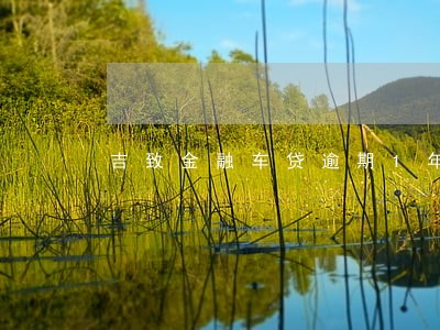 吉致金融车贷逾期1年 吉致金融车贷逾期1年