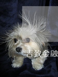 吉致金融车贷逾期4天 吉致金融车贷逾期4天