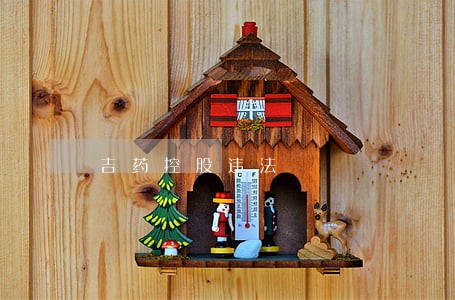 吉药控股违法 吉药控股违法