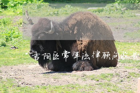 吉阳区常年法律顾问收费 吉阳区常年法律顾问收费