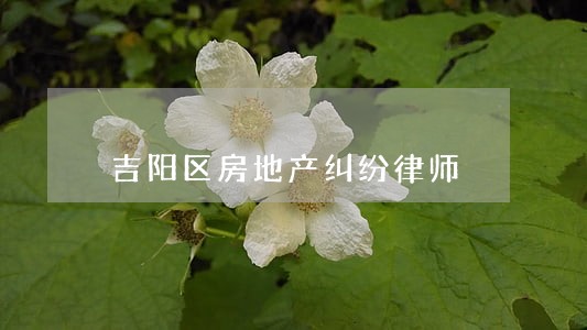 吉阳区房地产纠纷律师 吉阳区房地产纠纷律师