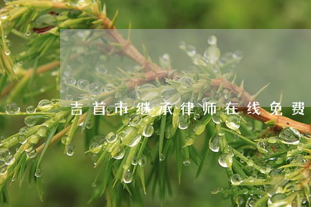 吉首市继承律师在线免费咨询
