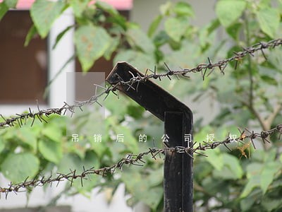 吊销后的公司授权 吊销后的公司授权