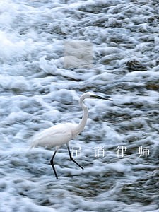 吊销律师证对家人的影响 吊销律师证对家人的影响
