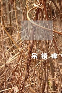 吊销律师资格证怎么查询 吊销律师资格证怎么查询