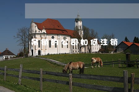 吊销的公司如何注销
