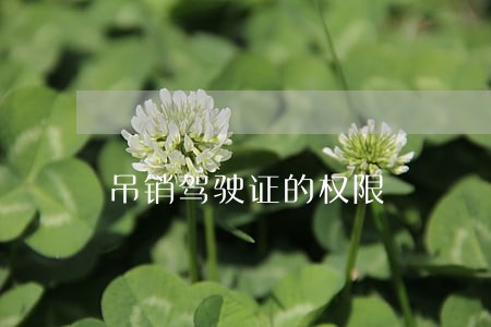 吊销驾驶证的权限 吊销驾驶证的权限