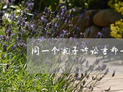 同一个案子诉讼书都一样吗 同一个案子诉讼书都一样吗