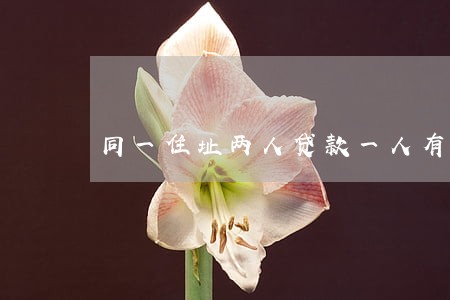 同一住址两人贷款一人有逾期 同一住址两人贷款一人有逾期
