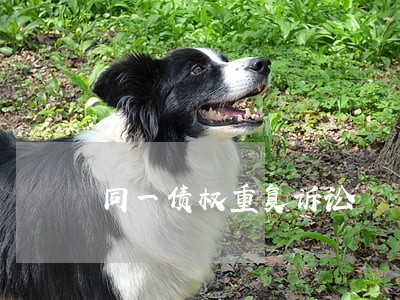 同一债权重复诉讼 同一债权重复诉讼