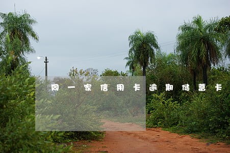 同一家信用卡逾期储蓄卡安全吗