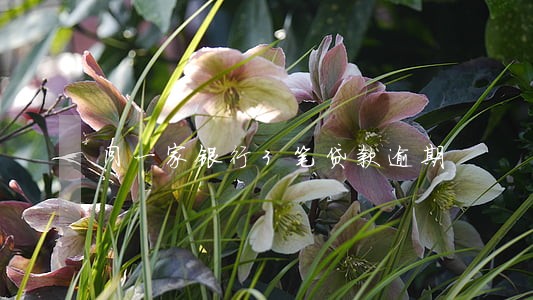同一家银行3笔贷款逾期 同一家银行3笔贷款逾期