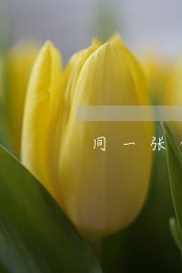 同一张信用卡有两次逾期