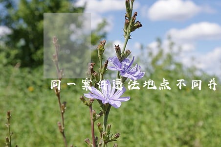 同一案件违法地点不同并案查处 同一案件违法地点不同并案查处