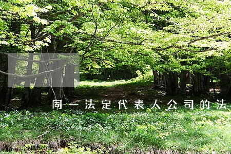 同一法定代表人公司的法律关系 同一法定代表人公司的法律关系