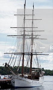 同一种行政违法行为
