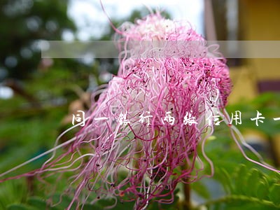 同一银行两张信用卡一个逾期 同一银行两张信用卡一个逾期