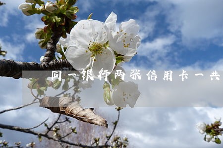 同一银行两张信用卡一共九万逾期