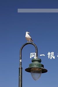 同一银行两张信用卡逾期超五万 同一银行两张信用卡逾期超五万