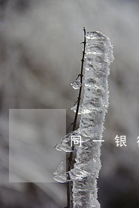 同一银行亲人逾期对我有影响吗