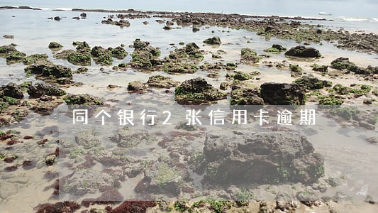 同个银行2张信用卡逾期 同个银行2张信用卡逾期