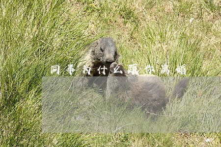 同事为什么跟你离婚 同事为什么跟你离婚